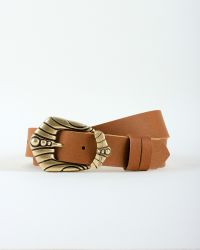 Φωτογραφία από Arizona brown